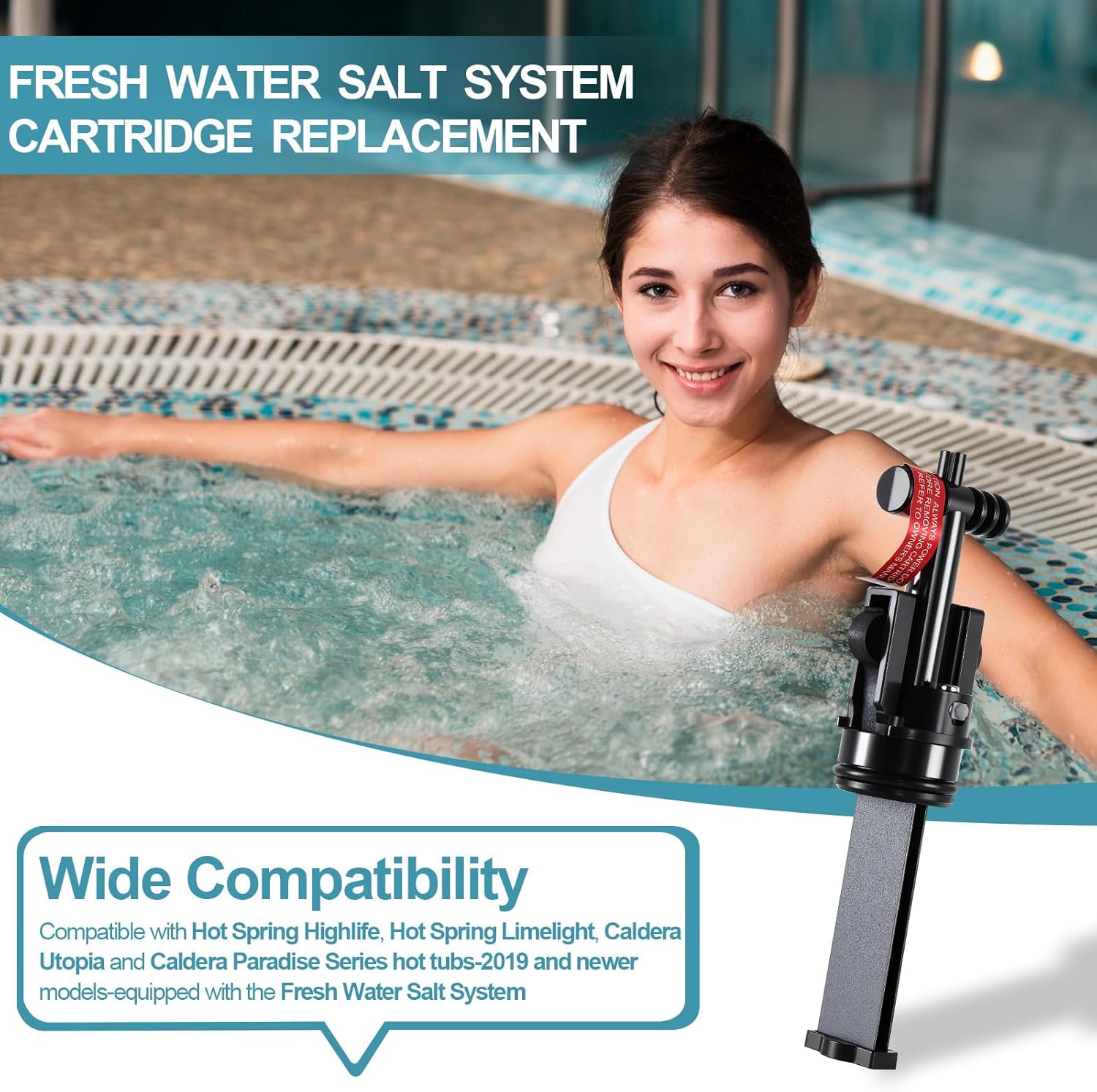 Replacement Salt Cartridge System Compatible with HotSpring & Caldera Spas, Pool & Spa Filter Cartridge Replacement